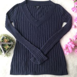Express Navy Blue V-Neck Sweater